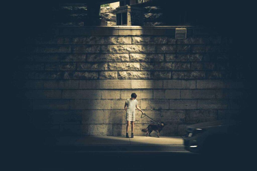 A person in a white outfit stands under a streetlight, walking a dog along a dimly lit sidewalk next to a brick wall. A car is partially visible on the right, adding a sense of motion to the scene.